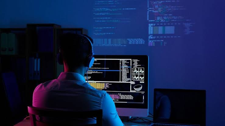 Professional Web Development Services
